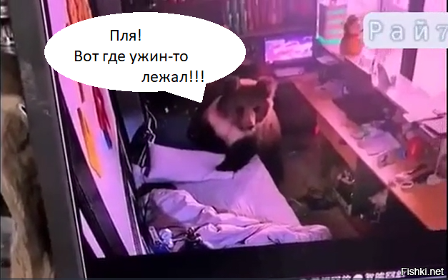 В Китае медведь потревожил покой спящего мужчины