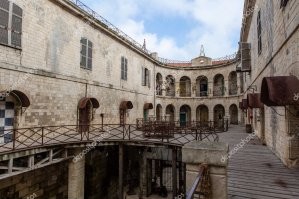 В Москве появилась новая услуга для экстремалов — змеетерапия