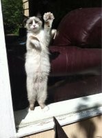 Тихоня смог за себя постоять&nbsp;