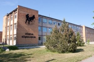 Очень символично! Это школа в Эстонии. А  барельеф олицетворяет "быль" про ленивого эстонского крестьянина:
(по-эстонски "Эдаси" - вперед, "Тагаси" - назад)
 Ленивый эстонец занимиается любовью с кобылой: Эдаси... Тпрууууу!... Тагаси... Трпуууууу! Эдаси! Трпруу! Тагаси! Тпруу!