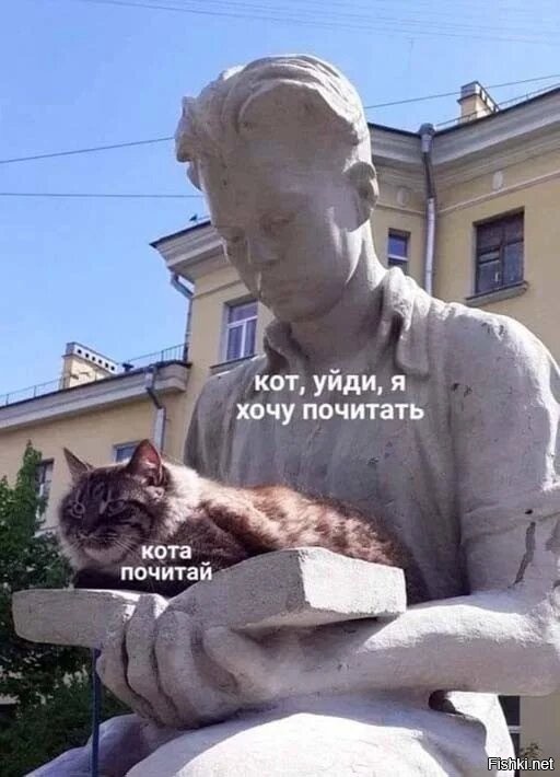 Кот не дает курам спокойно пообедать
