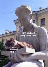 Кот не дает курам спокойно пообедать