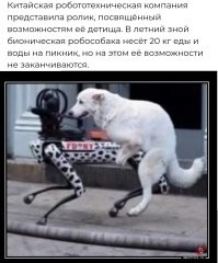 Робособака ― идеальный компаньон