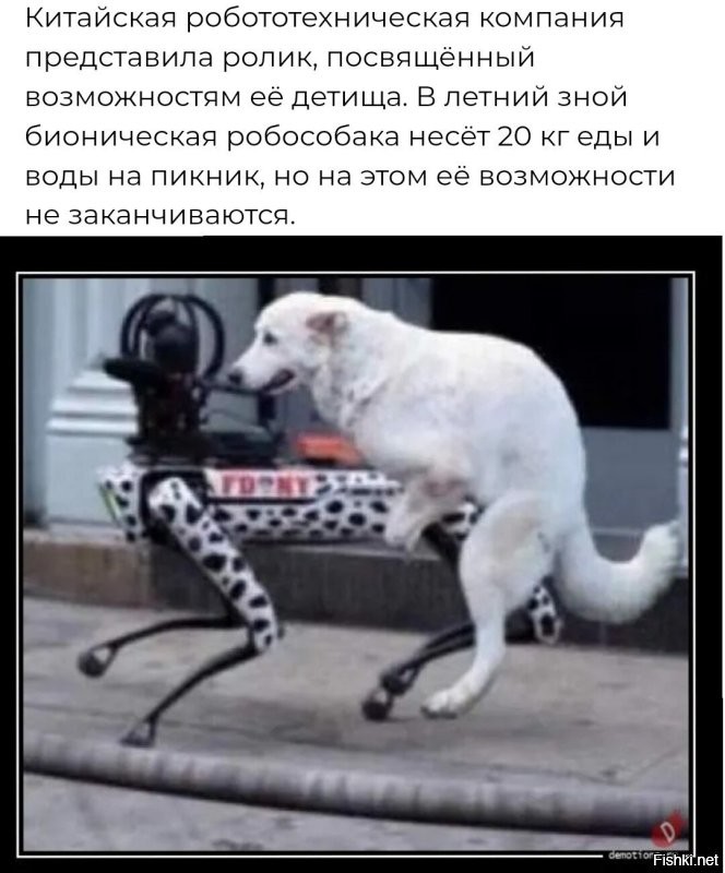 Робособака ― идеальный компаньон