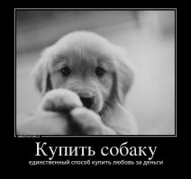 Собака поддерживает своего хозяина⁠⁠ в&nbsp;больнице