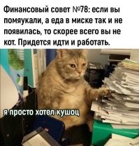 Мемы и инфографика про финансы, которые помогут понять мир денег