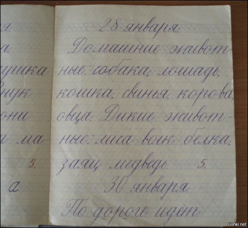 У меня есть старая мамина тетрадь 53 года. Она тогда была первоклассницей(!) и там такой же каллиграфический почерк.