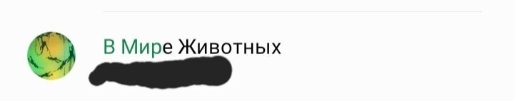 16 смешных контактов из телефонных книг пользователей