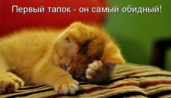 22 хулиганские выходки, авторов которых хочется обнять и простить