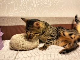22 хулиганские выходки, авторов которых хочется обнять и простить