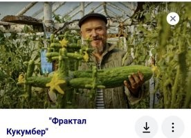 17 продуктов, которые можно встретить на полках магазинов разных стран