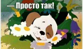 15 странных кадров, которые вызывают много вопросов