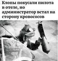 Клопы покусали пилота в отеле, но администратор встал на сторону кровососов