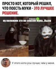 22 хулиганские выходки, авторов которых хочется обнять и простить