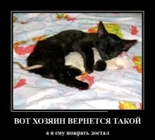 В Ростовской области кот спас бельчонка, притащив его к людям