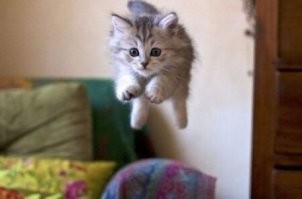 25 великолепных прыжков и их не менее великолепных исполнителей