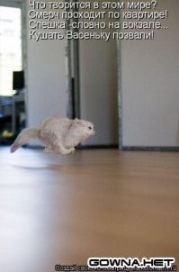 25 великолепных прыжков и их не менее великолепных исполнителей