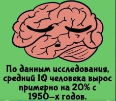 Тест IQ не определяет уровень интеллекта,а говорит об умении решать тесты на IQ..