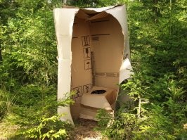 На олимпиаде.