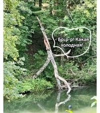 Невиданное: 35 странных и удивительных снимков из разных уголков мира