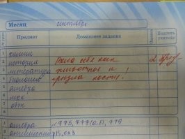 16 забавных учительских пометок в школьных дневниках