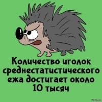 Вот кому-то нехрен делать было. И ведь "среднестатистического". Он ещё и статистику собирал. Не одного ежа пересчитывал, а не один десяток.
