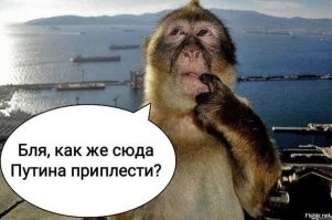 Политический мониторинг (416)
