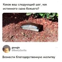 Забрать быстро припрятать в независимом месте ( если украдут не судьба) через пару дней перепрятать в более надежном месте и с пол годика можно брать.