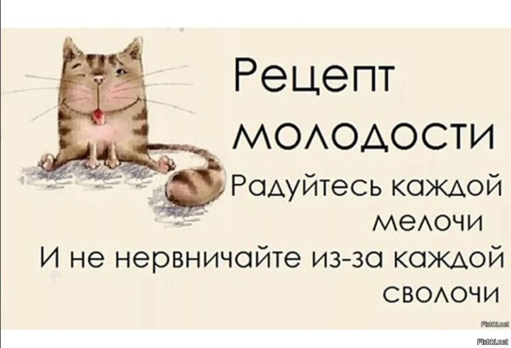 Солянка от 13.08.2024