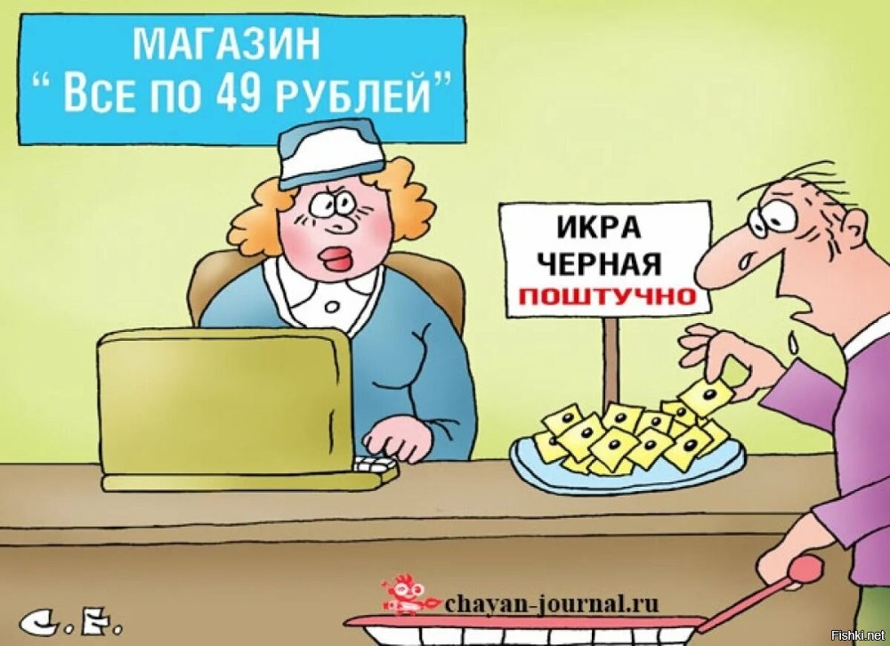 Солянка от 13.08.2024