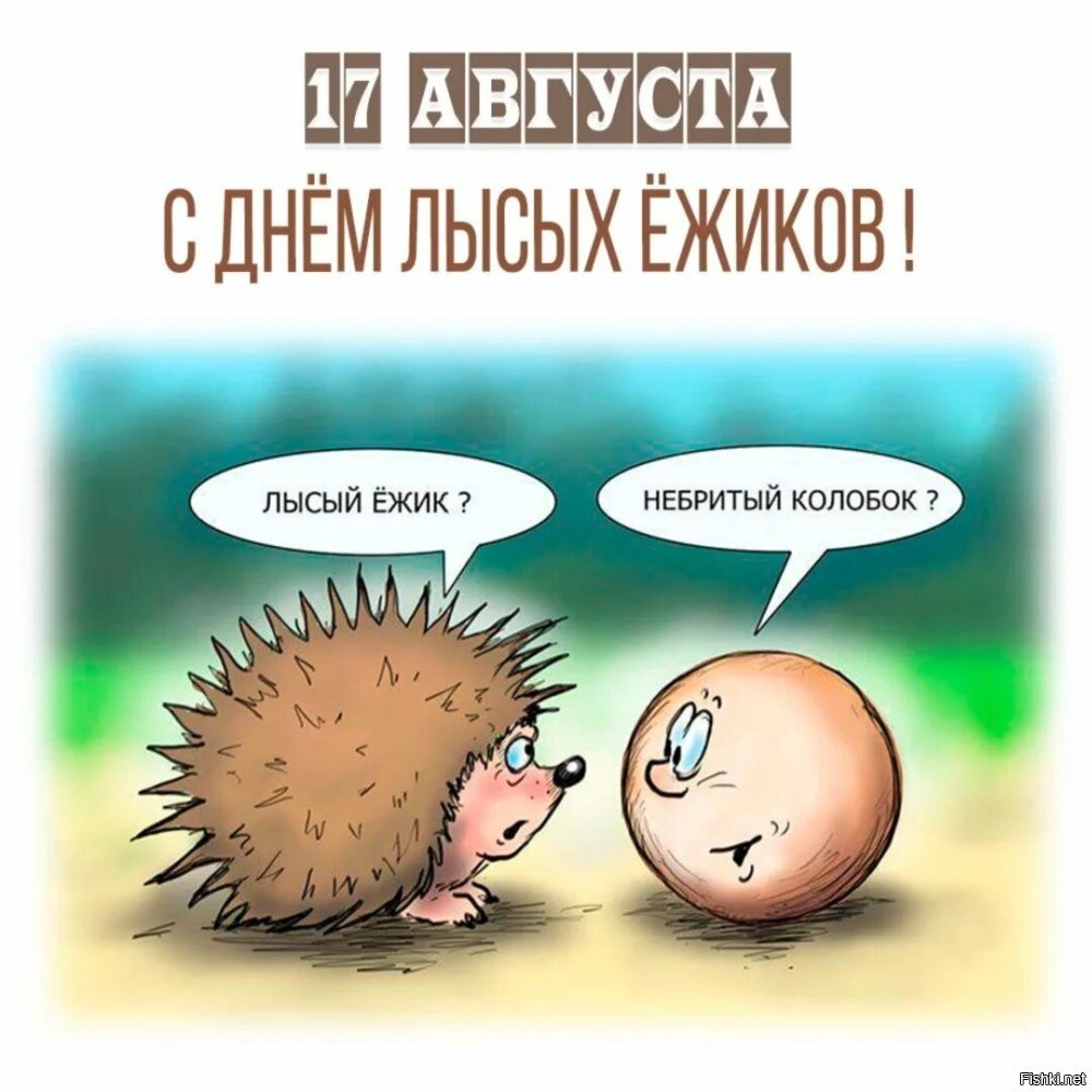 Солянка от 14.08.2024