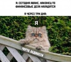Скрины из соцсетей