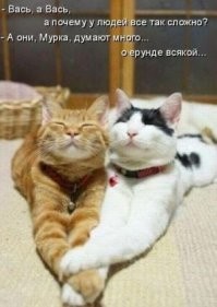 22 примера самых уютных и надёжных объятий и тех, кто и дарит
