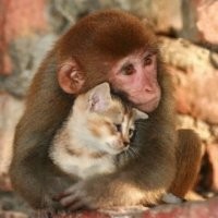 22 примера самых уютных и надёжных объятий и тех, кто и дарит
