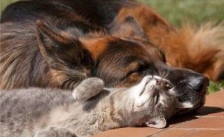 22 примера самых уютных и надёжных объятий и тех, кто и дарит