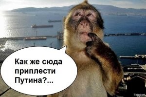 Выплаты по ОСАГО предлагают повысить до 50 миллионов рублей