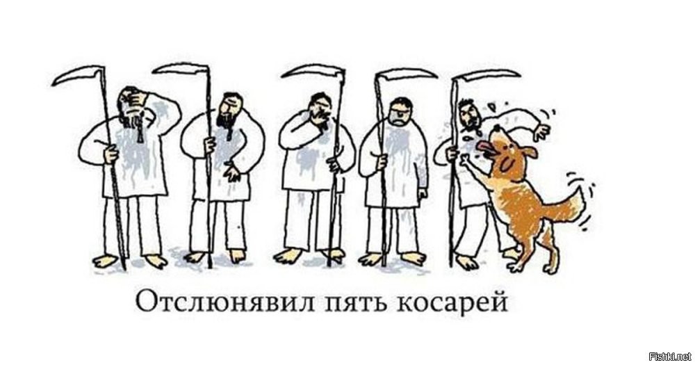 Солянка от 15.08.2024