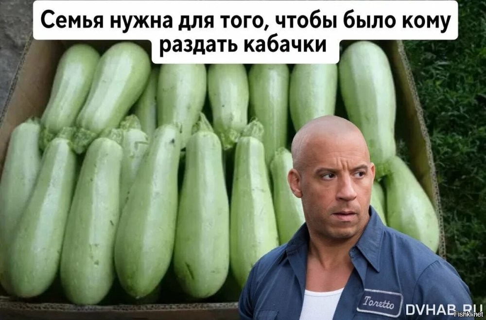 Солянка от 15.08.2024
