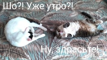 Та же фигня!