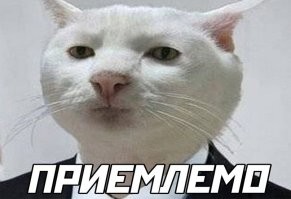 Пекинский дедушка решил устроить себе бюджетный тур на море, не выходя из дома