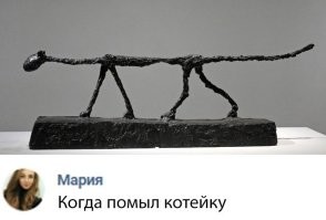 его животинка