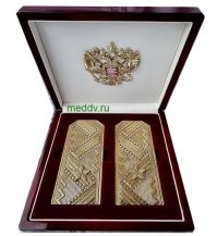 ФСИН планирует закупить подарочные хрустальные погоны на полмиллиона рублей