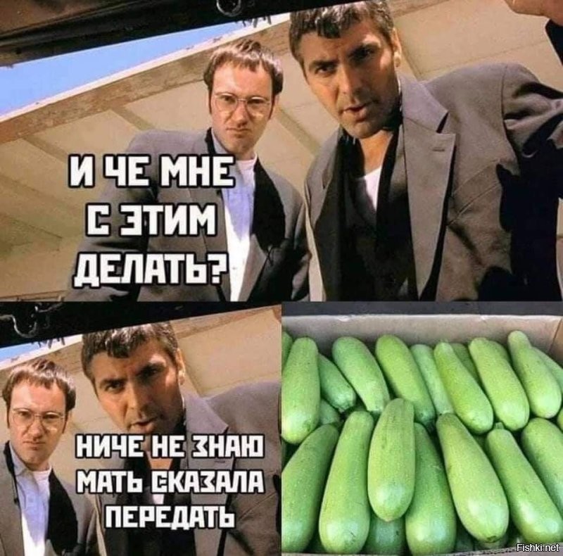 Солянка от 15.08.2024