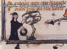 Как выглядели фрукты и овощи до селекции