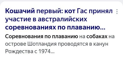 Кот-рыболов: он сломал привычные представления о кошках и стал «амфибией», охотящейся в воде
