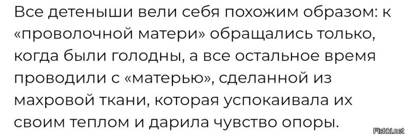 Логично. 
Пожрал и пополз в теплое и мягкое место спать. 
Проголодался, сползал к кормушке. Потом обратно. 

Где тут спрятались высший смысл и тайны вселенной?