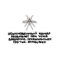 Кожа пробивается не простым давлением жала, как это принято считать. 
Главную задачу здесь выполняют острая верхняя челюсть, а также нижняя челюсть, имеющая загнутые назад зубцы. Кожа разрезается верхней челюстью с одновременным возвратно-поступательным движением нижней челюсти. Когда жало достигает кровеносного сосуда, процесс разрезания прекращается. Наступает черед сосания крови.

Однако, насколько мы знаем, человеческий организм содержит фермент, который при малейшем повреждении кровеносного сосуда моментально вызывает свертывание крови и таким образом останавливает кровотечение. Казалось бы, наличие подобного фермента должно создать серьезную проблему для комара. Потому что организм прореагирует на отверстие, вызванное укусом комара, а кровь в этом месте немедленно превратиться в сгусток и залатает рану. И это, разумеется, никак не позволило бы комару сосать кровь.

Но для комара эта проблема уже разрешена. Прежде чем комар начинает сосать кровь, он вводит в открытую им рану специальную жидкость, выделяемую его организмом. Эта жидкость нейтрализует фермент, который вызывает свертывание крови. Таким образом, комар беспрепятственно достигает своей пищи. Кстати, причиной появления зуда и опухания укушенного места является именно эта жидкость, предотвращающая свертывание.