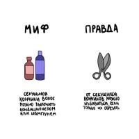 Очередной бред. Секущиеся кончики волос нельзя вылечить. Их обрезают, а оставшиеся волосы обрабатывают различными средствами. Лечить уже поражённые кончики бесполезно - они мёртвые, но в просторечии это и называется "обработка секущихся кончиков"