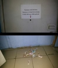 Блогер Гасанов похвалился тем, что заплатил налоги