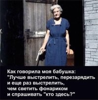 Две собаки прогнали львов, защищая территорию